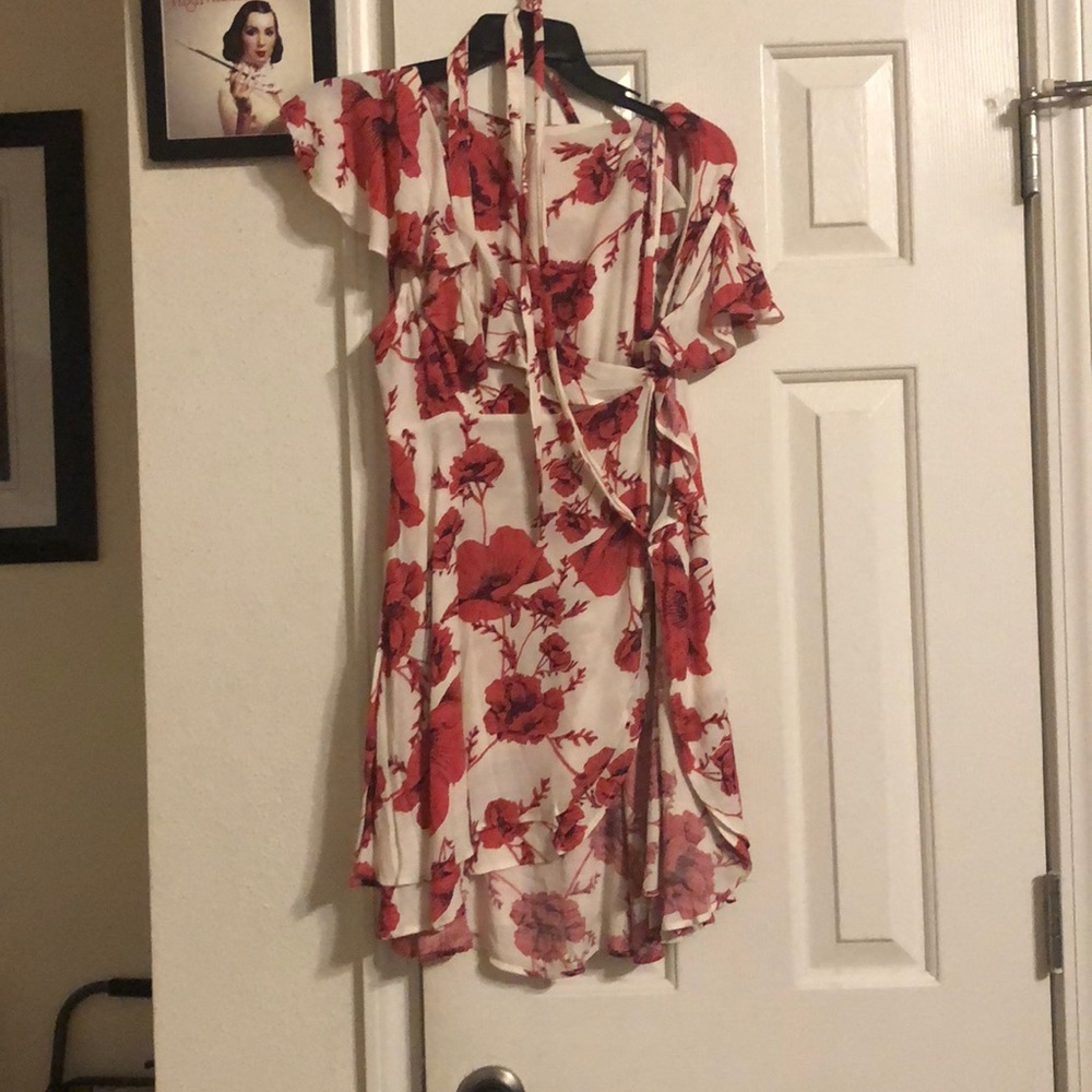 Free people pink and white dress